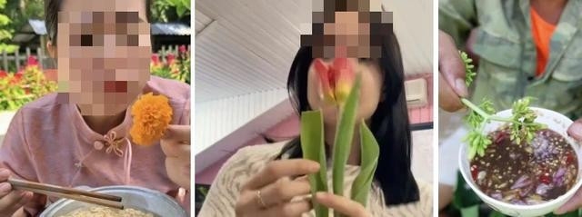 Trên mạng xã hội đang có trend "ăn hoa như ăn rau". ẢNH: CHỤP MÀN HÌNH