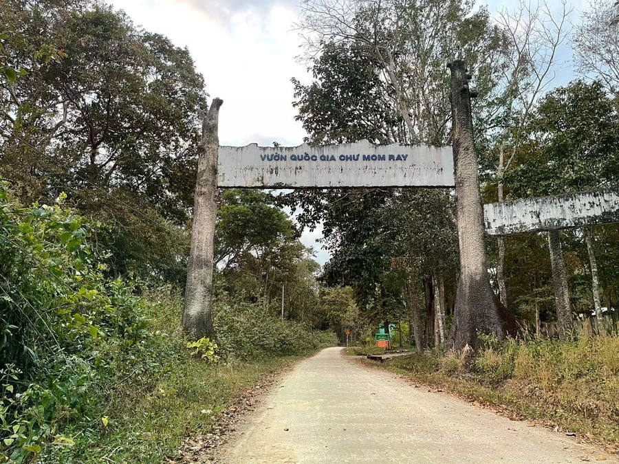 Đường vào Vườn quốc gia Chư Mom Ray. ẢNH: P.A