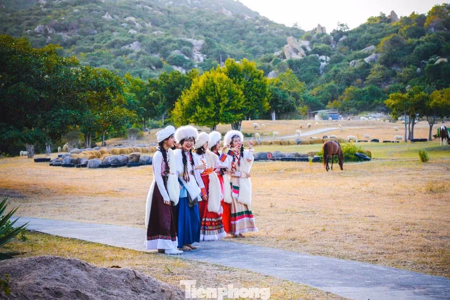 Du khách thích thú hóa thân thành người du mục, chụp ảnh check-in.