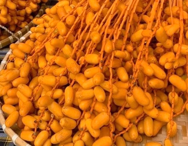 Chà là chứa cả chất xơ hòa tan và không hòa tan. ẢNH: LÊ CẦM