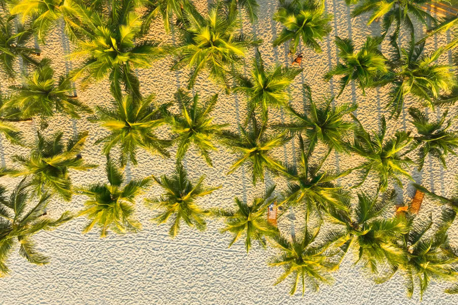 Đặc khu Phú Quốc có những bãi cát trắng tuyệt đẹp. ẢNH: NGÔ TRẦN HẢI AN