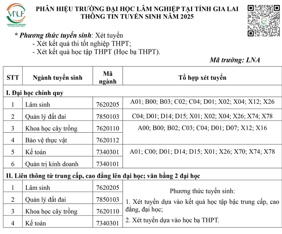 bang-tre-dang-bao-gl-qc-1.jpg