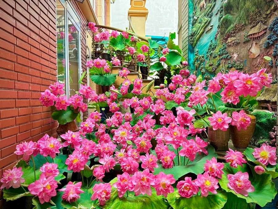 Chị Hương cho biết, hoa sen có tới hàng trăm loại hoa nhưng chị thích những loại hoa sen truyền thống như sen đơn, bách diệp, bỉ ngạn, nghi lương… Hoa sen có mùi hương thơm mê đắm, chị thích cắm số lượng nhiều hoa nên mỗi lần dưỡng hoa rất mất thời gian. Mỗi lần cắm đầm hoa tầm 200 - 300 bông, chị phải mất 4 - 5 tiếng bê bình đặt đến nơi vị trí muốn cắm. ẢNH: NVCC Chị Hương cho biết, hoa sen có tới hàng trăm loại hoa nhưng chị thích những loại hoa sen truyền thống như sen đơn, bách diệp, bỉ ngạn, nghi lương… Hoa sen có mùi hương thơm mê đắm, chị thích cắm số lượng nhiều hoa nên mỗi lần dưỡng hoa rất mất thời gian. Mỗi lần cắm đầm hoa tầm 200 - 300 bông, chị phải mất 4 - 5 tiếng bê bình đặt đến nơi vị trí muốn cắm. ẢNH: NVCC
