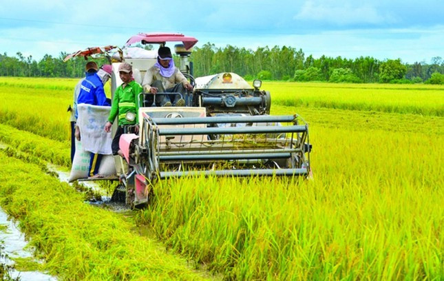 Nông nghiệp tăng tốc phấn đấu cán đích 65 tỷ USD. Ảnh minh họa: IT Nông nghiệp tăng tốc phấn đấu cán đích 65 tỷ USD. Ảnh minh họa: IT