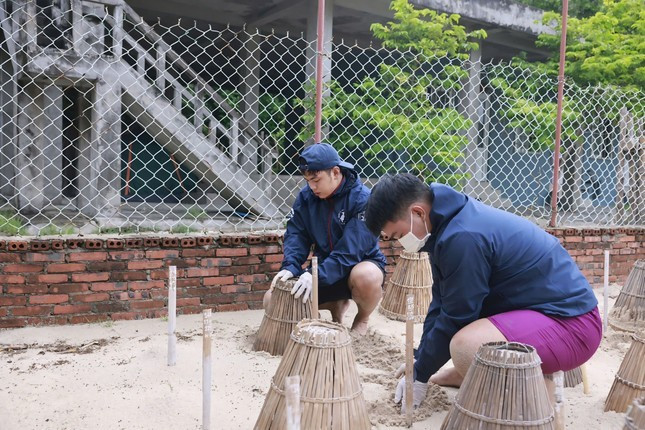 Tình nguyện viên phải biết bơi, đảm bảo sức khỏe có chứng nhận y tế, có kinh nghiệm hoạt động vì môi trường, kỹ năng làm việc nhóm tốt, làm bài test kiến thức về rùa biển. Tình nguyện viên phải biết bơi, đảm bảo sức khỏe có chứng nhận y tế, có kinh nghiệm hoạt động vì môi trường, kỹ năng làm việc nhóm tốt, làm bài test kiến thức về rùa biển.