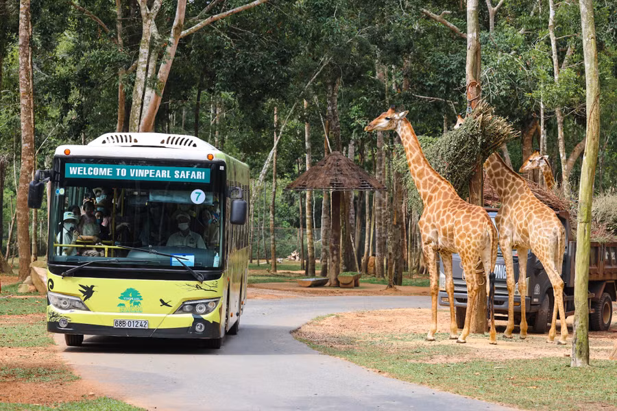 Vinpearl Safari Phú Quốc là điểm thu hút rất nhiều du khách khi đến thăm đặc khu. ẢNH: NGÔ TRẦN HẢI AN