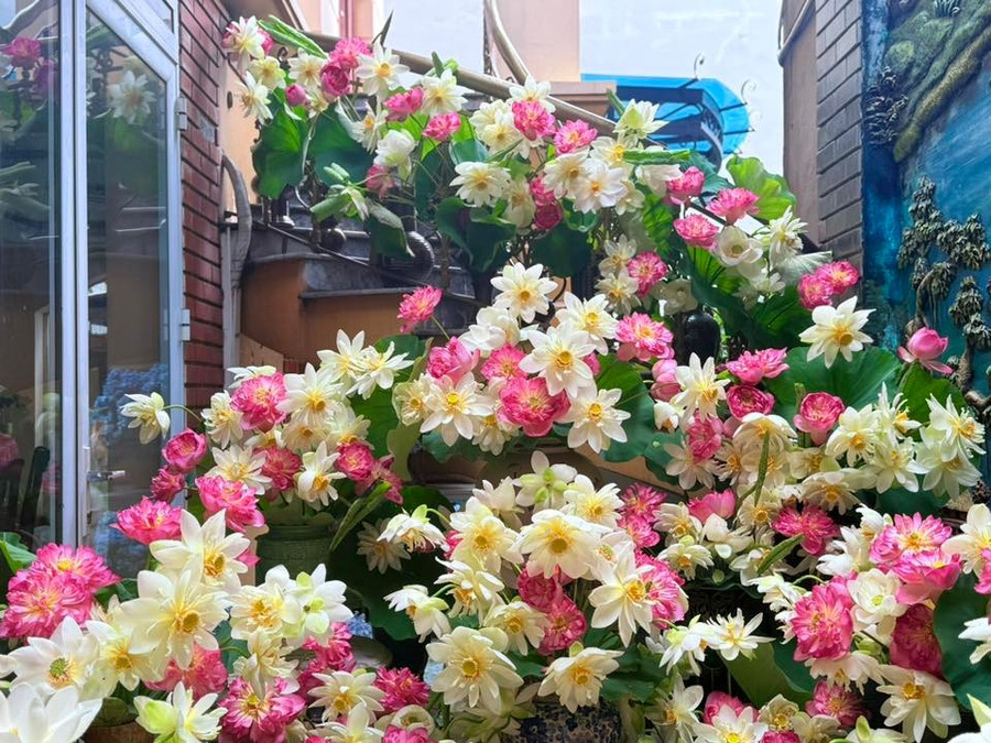 "Muốn hoa sen nở tươi đẹp mọi người nên chọn những bông hé miệng sáo sau đó để ở nơi thoáng mát. Sau đó ngâm dưỡng hoa sen trong xô nước cao, nếu sen chân dài nên mua ống nhựa bịt dưới đáy để dưỡng sen. Sen càng được dưỡng no nước càng nở khỏe và tươi hoa, thời gian dưỡng tầm 4 - 6 tiếng", chị Hương cho biết. ẢNH: NVCC "Muốn hoa sen nở tươi đẹp mọi người nên chọn những bông hé miệng sáo sau đó để ở nơi thoáng mát. Sau đó ngâm dưỡng hoa sen trong xô nước cao, nếu sen chân dài nên mua ống nhựa bịt dưới đáy để dưỡng sen. Sen càng được dưỡng no nước càng nở khỏe và tươi hoa, thời gian dưỡng tầm 4 - 6 tiếng", chị Hương cho biết. ẢNH: NVCC