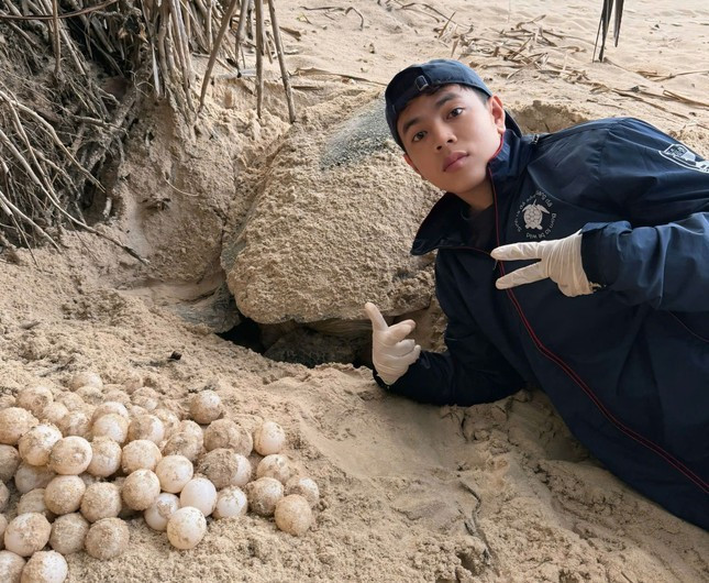 Quốc Thái - chàng trai 9x sống tại Tây Ninh tham gia chương trình Bảo tồn rùa biển do IUCN Vietnam Sea Turtle Volunteer phối hợp cùng Vườn Quốc gia Côn Đảo tổ chức. Quốc Thái - chàng trai 9x sống tại Tây Ninh tham gia chương trình Bảo tồn rùa biển do IUCN Vietnam Sea Turtle Volunteer phối hợp cùng Vườn Quốc gia Côn Đảo tổ chức.