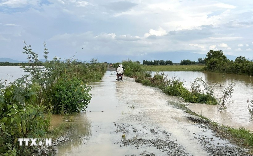 Nước lũ về ngập tràn các tuyến đường nội đồng khu vực xã Nam Thành. (Ảnh: Hồng Hiếu/TTXVN) thientai.jpg