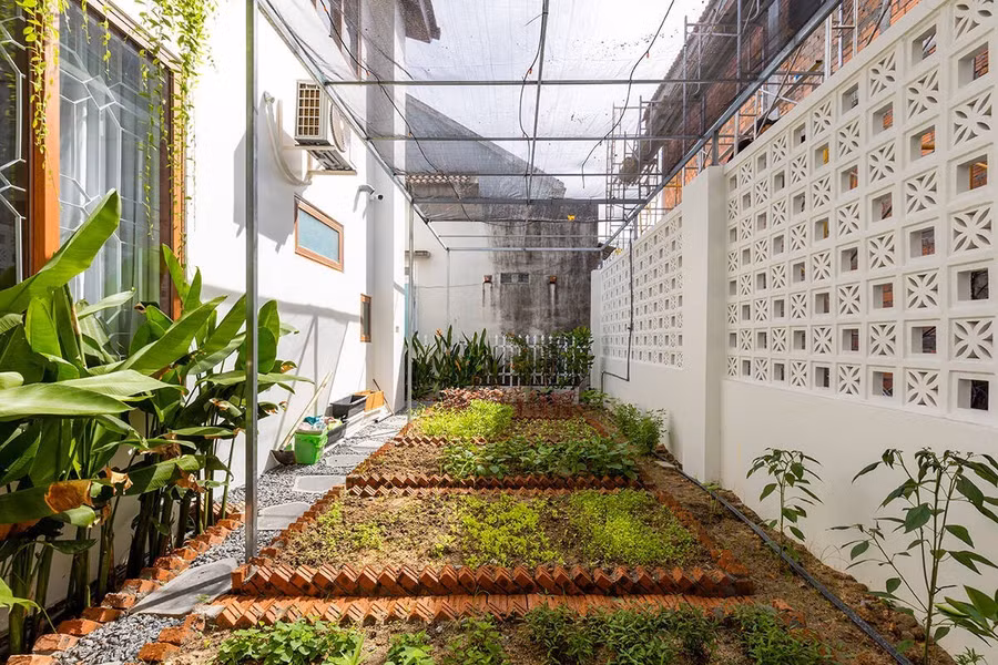 Sân sau cho gia chủ trồng rau