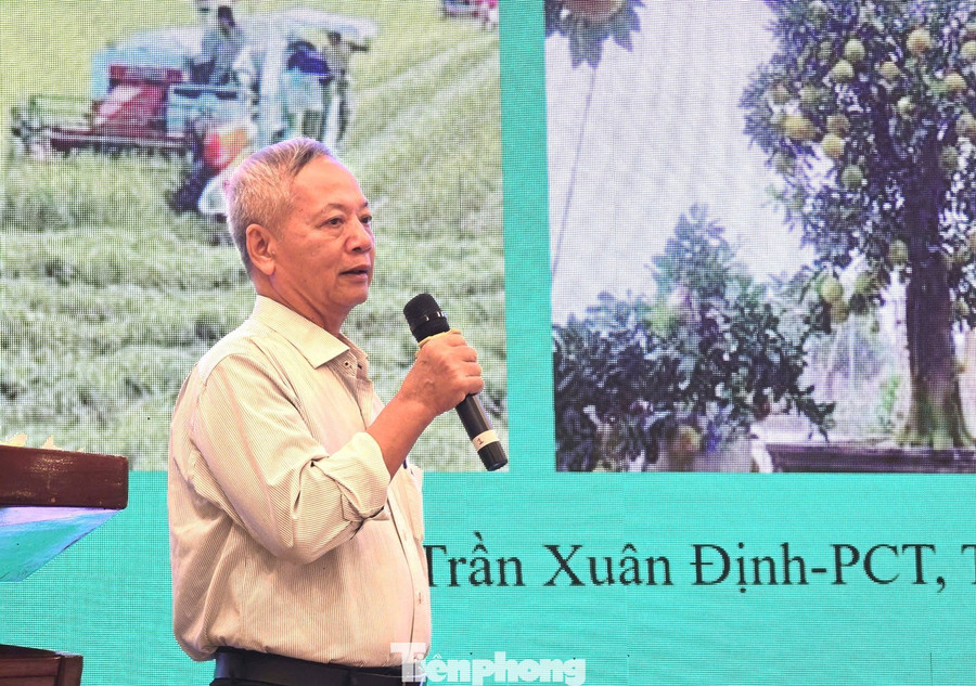 Ông Trần Xuân Định - Phó Chủ tịch, Tổng Thư ký VSTA. Ảnh: CK. Ông Trần Xuân Định - Phó Chủ tịch, Tổng Thư ký VSTA. Ảnh: CK.
