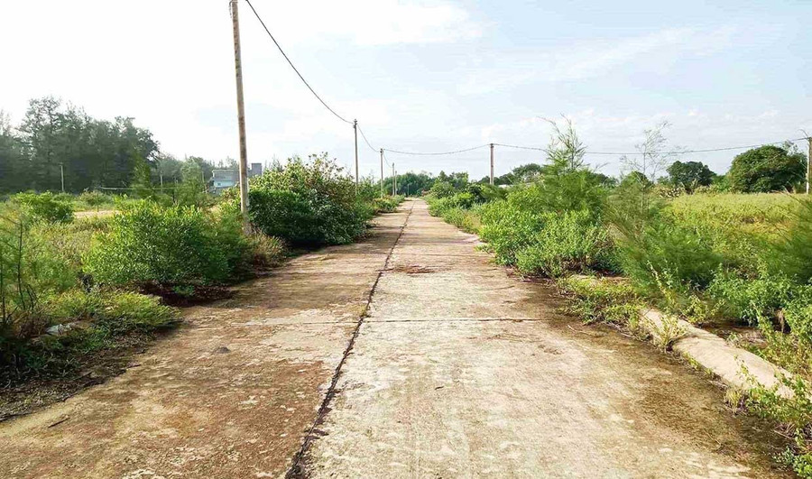 Cây bụi, cỏ dại mọc um tùm tại Khu di dãn dân Huỳnh Giản. Ảnh: V.L them1-693.jpg