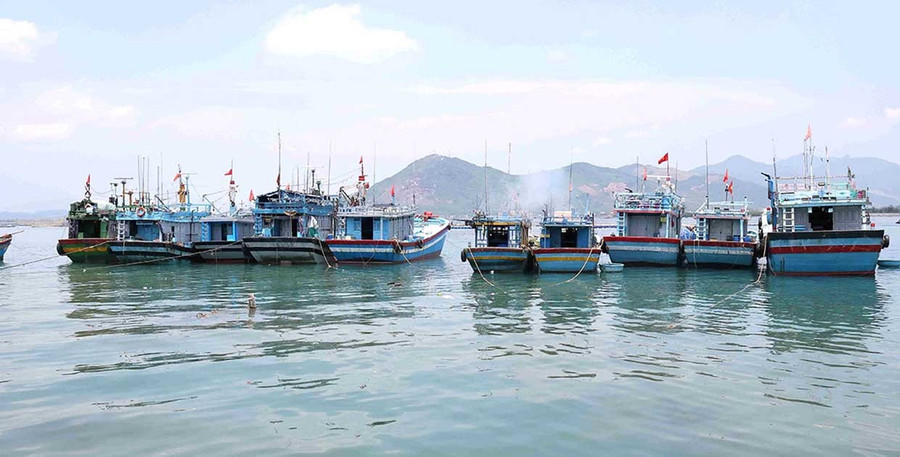 Xã Phù Mỹ Đông nắm rõ từng trường hợp tàu cá và đang tích cực vận động chủ tàu xả bản nếu xác định không hoạt động khai thác hải sản. Ảnh: N.N bg-9-2.jpg