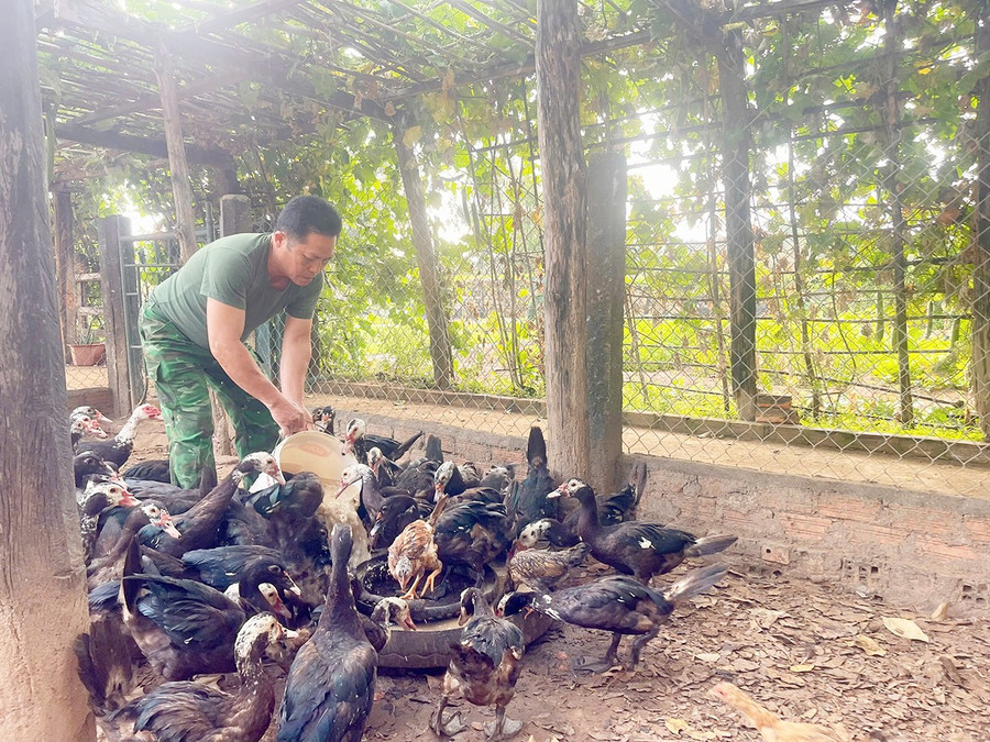 Cán bộ, chiến sĩ Đồn Biên phòng Ia Pnôn tích cực tăng gia để đảm bảo nguồn thực phẩm tươi, an toàn dịp Tết. Ảnh: T.D