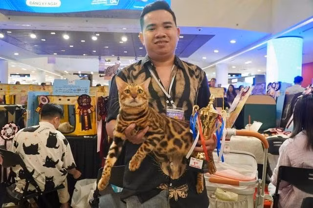 Anh Nguyễn Quang Minh là chủ nhân của chú mèo Bengal vừa đạt danh hiệu kiện tướng thế giới