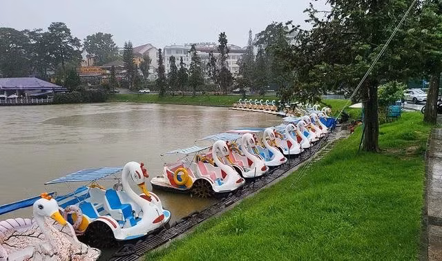 Cả tháng qua, hơn 90 Pedalo phải nằm im ngừng hoạt động. ẢNH: GIA BÌNH