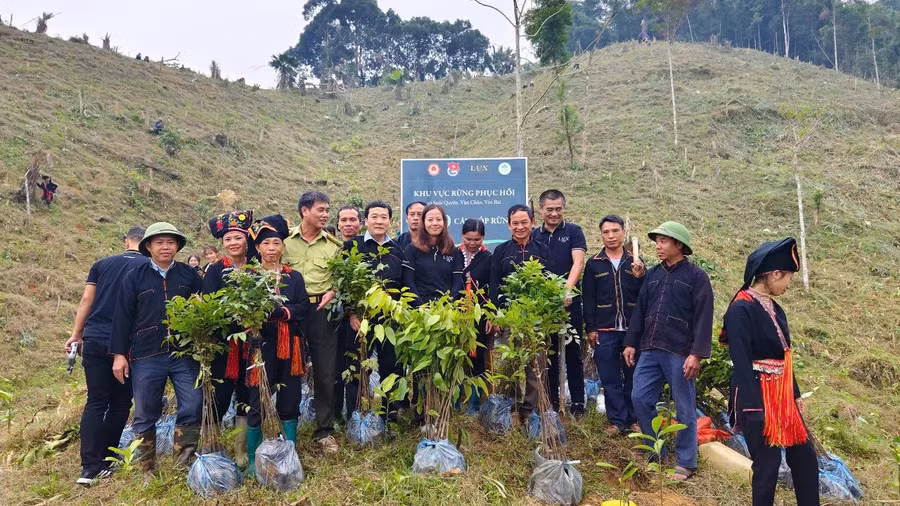 A Cải cùng bà con và tình nguyện viên trồng cây ở Văn Chấn, Yên Bái. ẢNH: NVCC