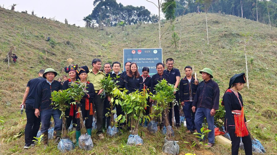 A Cải cùng bà con và tình nguyện viên trồng cây ở Văn Chấn, Yên Bái. ẢNH: NVCC A Cải cùng bà con và tình nguyện viên trồng cây ở Văn Chấn, Yên Bái. ẢNH: NVCC