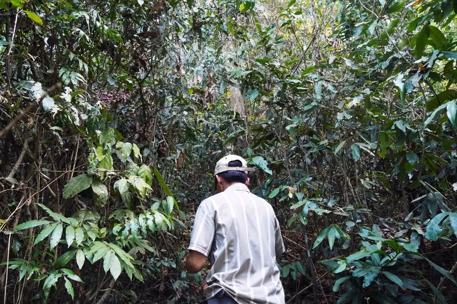 Theo chân "hoa tiêu" vào Hòn Cấm