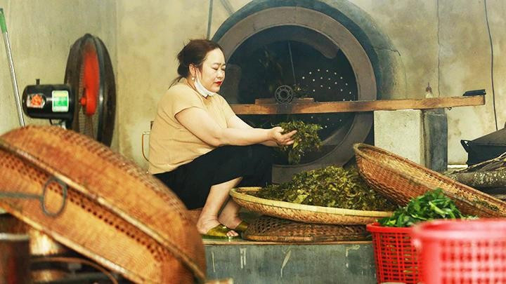 Quy trình sấy lá chè. 3giuvi.jpg