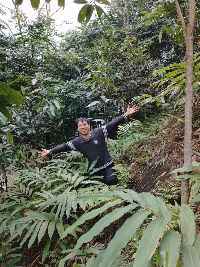 A Cải thăm cây rừng đã trồng ở một số tỉnh Tây Bắc. ẢNH: NVCC