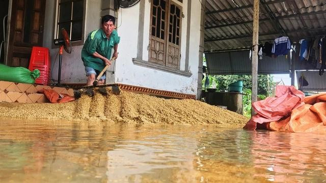 Nước lũ lên nhanh khiến 1,5 tấn lúa vừa gặt của gia đình ông Ới bị ướt sũng. ẢNH: PHẠM ĐỨC Nước lũ lên nhanh khiến 1,5 tấn lúa vừa gặt của gia đình ông Ới bị ướt sũng. ẢNH: PHẠM ĐỨC