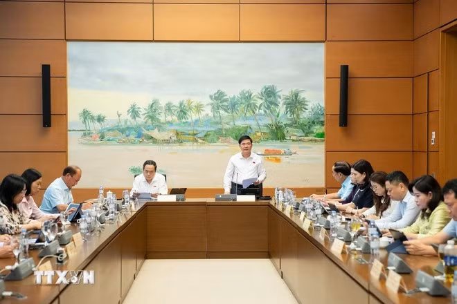 Đoàn đại biểu Quốc hội các tỉnh Hậu Giang, Bắc Ninh, Đắk Lắk và Lào Cai thảo luận ở tổ. (Ảnh: TTXVN phát)