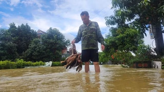 Lũ lụt xảy ra ngay đầu mùa hè khiến nhiều hộ dân không kịp trở tay, thiệt hại nặng về hoa màu và vật nuôi. ẢNH: PHẠM ĐỨC