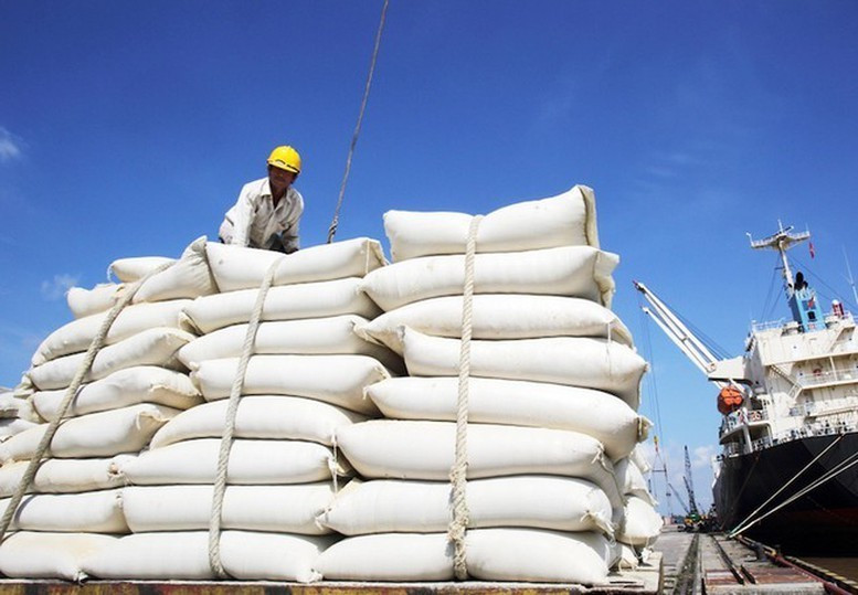 Bộ Công thương đang lấy ý kiến góp ý đối với dự thảo Thông tư quy định về hạn ngạch thuế quan nhập khẩu mặt hàng lá thuốc lá khô và gạo có xuất xứ từ Campuchia cho giai đoạn năm 2025-2026. Ảnh minh họa/Nguồn VGP nhap-khau-gao.jpg
