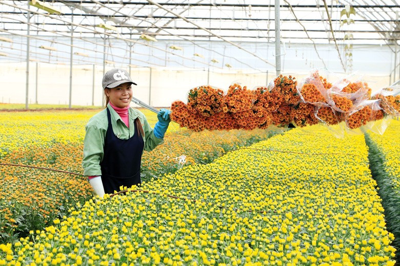 Lâm Đồng là địa phương tiên phong và dẫn đầu cả nước về sản xuất nông nghiệp ứng dụng công nghệ cao Lâm Đồng là địa phương tiên phong và dẫn đầu cả nước về sản xuất nông nghiệp ứng dụng công nghệ cao