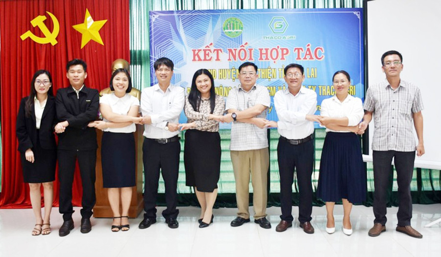 Phân hiệu Trường Đại học Nông lâm TP. Hồ Chí Minh tỉnh Gia Lai liên kết với Công ty cổ phần Nông nghiệp Trường Hải (THACO AGRI) đào tạo nguồn nhân lực. Ảnh: Đinh Yến yen.jpg