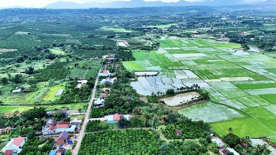 Sơn Lang tập trung tái cơ cấu nông - lâm nghiệp, mở rộng diện tích cây trồng chủ lực, phát triển lâm nghiệp gắn với bảo vệ rừng. Ảnh: Minh Phương bgthem2-minh-phuong.jpg
