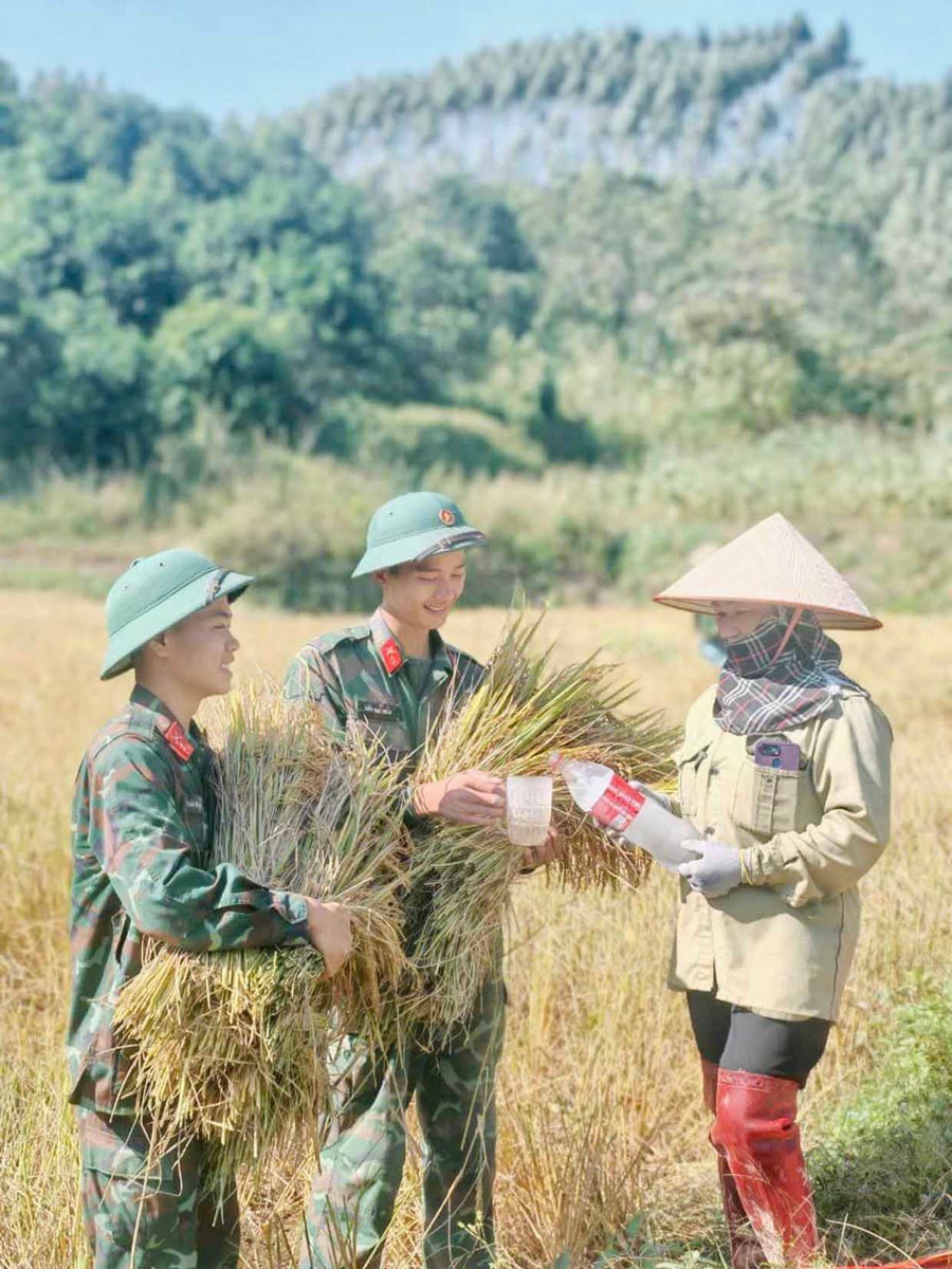 Chiến sĩ Tiểu đoàn 8 (Trung đoàn 141, Sư đoàn 3) giúp nhân dân thôn Đồng Thủy (xã Tân Thành, tỉnh Lạng Sơn) thu hoạch mùa màng. Ảnh: Trần Như Khánh bg11-3.jpg