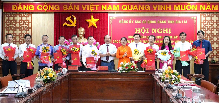 Đảng ủy các cơ quan Đảng tỉnh trao quyết định thành lập các chi bộ, đảng bộ cơ sở trực thuộc. Ảnh: Nguyễn Hân 1chot-tr4.jpg