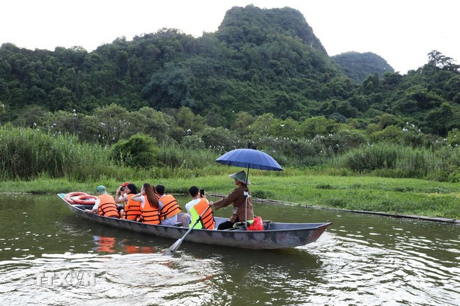 Đến với Vườn chim Thung Nham, phường Nam Hoa Lư, tỉnh Ninh Bình, du khách có cơ hội được chiêm ngưỡng tận mắt vẻ đẹp hoang dã của các loài chim. (Ảnh: Thùy Dung/TTXVN) Đến với Vườn chim Thung Nham, phường Nam Hoa Lư, tỉnh Ninh Bình, du khách có cơ hội được chiêm ngưỡng tận mắt vẻ đẹp hoang dã của các loài chim. (Ảnh: Thùy Dung/TTXVN)