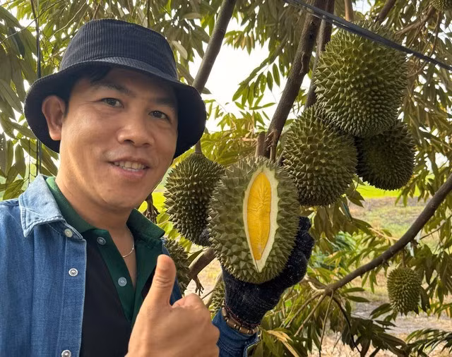 Anh Trịnh Thanh Tùng thăm vườn sầu riêng