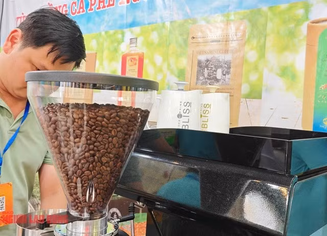 Giá cà phê nóng sốt suốt thời gian qua