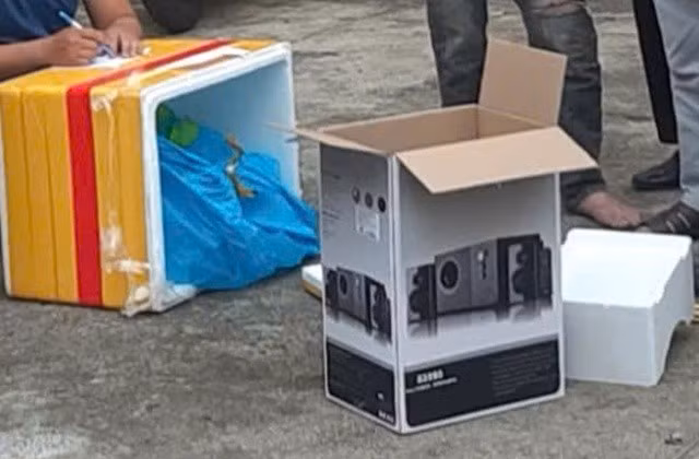 Ma túy được ngụy trang rất tinh vi thành hàng hóa trái cây