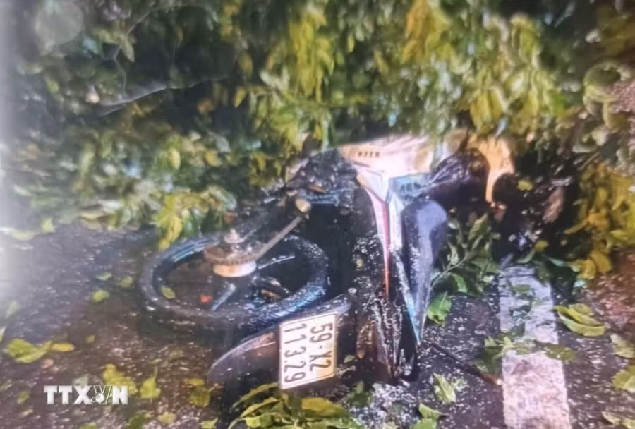 Một trong hai xe máy bị cây đổ đè trúng. (Ảnh: TTXVN phát)