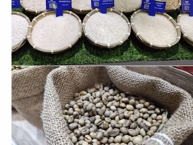 Giá gạo và cà phê đang lao dốc