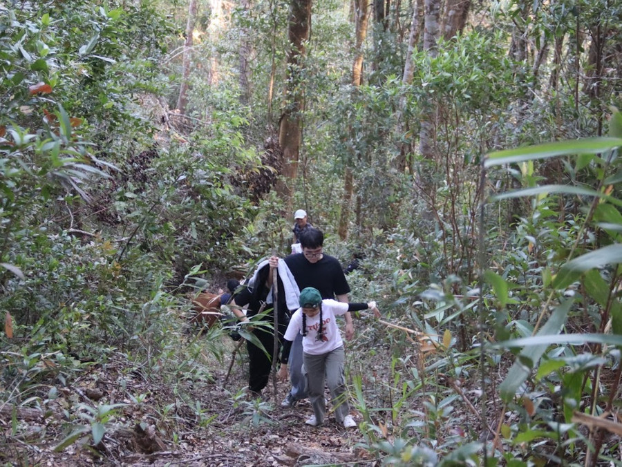 Đoàn thực địa đi bộ xuyên qua những cánh rừng tại xã Đak Sơmei để kiểm tra từng mầm xanh. Ảnh: Kim Thoa