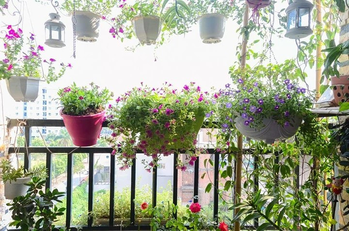 Ban công ngập hoa mang sắc xuân về nhà. (Ảnh: Greenmore)