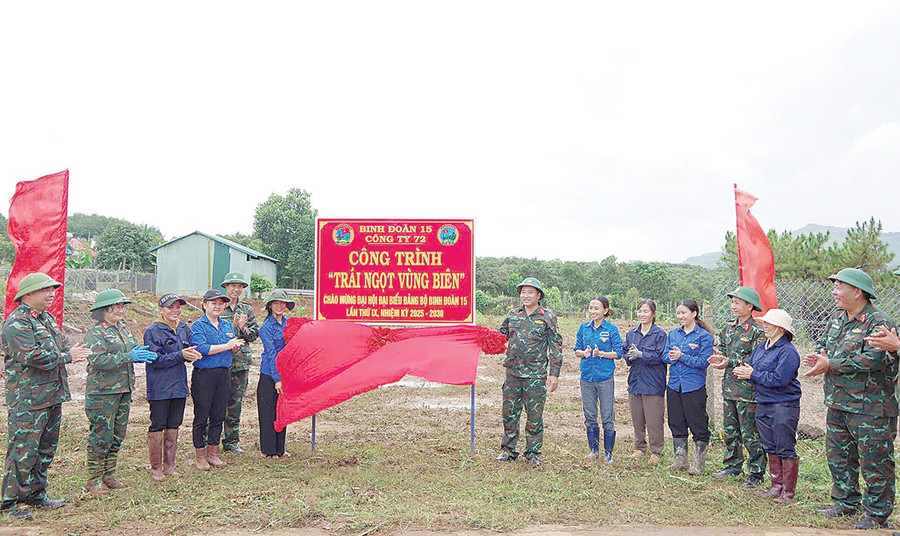 Công trình “Trái ngọt vùng biên” của đoàn viên, thanh niên Binh đoàn 15 triển khai tại xã Ia Dom. Ảnh: V.H