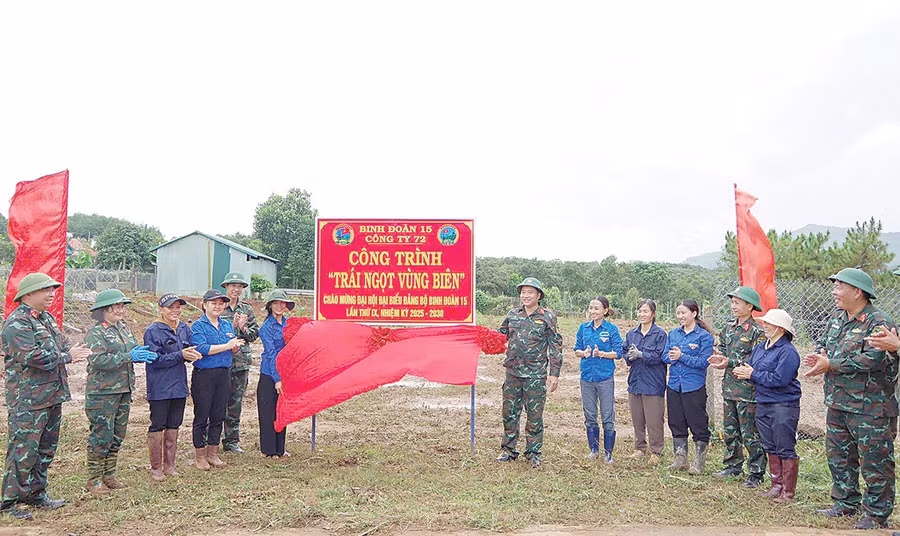 Công trình “Trái ngọt vùng biên” của đoàn viên, thanh niên Binh đoàn 15 triển khai tại xã Ia Dom. Ảnh: V.H