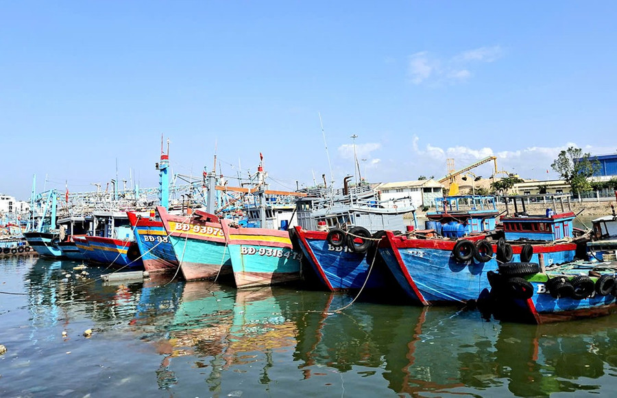 Đa số chủ tàu đồng thuận cùng tỉnh trong nỗ lực gỡ “thẻ vàng” IUU. Ảnh: N.N