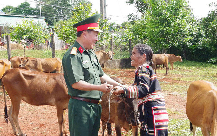 Đại tá Trần Ngọc Hải-Phó Tư lệnh, Tham mưu trưởng Binh đoàn 15, trao bò giống cho người dân.