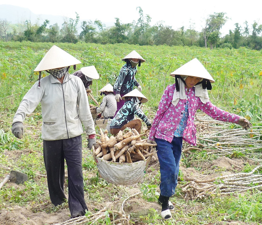 Nhờ sự hỗ trợ của chương trình MTQG, đời sống, sản xuất của người dân ở Vĩnh Thạnh đã được cải thiện đáng kể. Ảnh: T.Sỹ Nhờ sự hỗ trợ của chương trình MTQG, đời sống, sản xuất của người dân ở Vĩnh Thạnh đã được cải thiện đáng kể.
