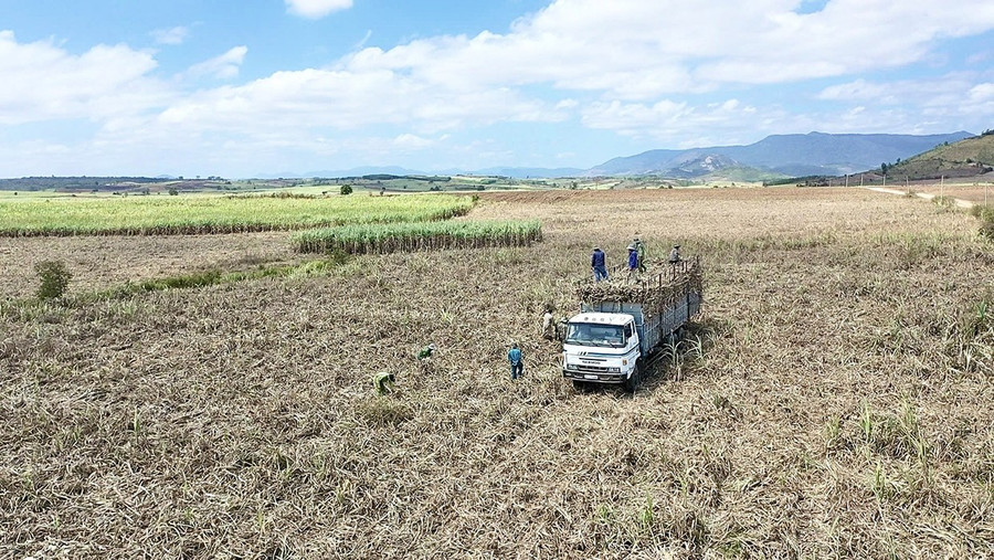 Durant la période 2025-2030, le Comité du Parti de la commune de To Tung continuera de piloter et d'orienter la promotion de l'application des sciences et des technologies à la production agricole, améliorant ainsi la productivité, la qualité et la compétitivité des produits. Photo : Minh Phuong bg4-2-minh-phuong.jpg