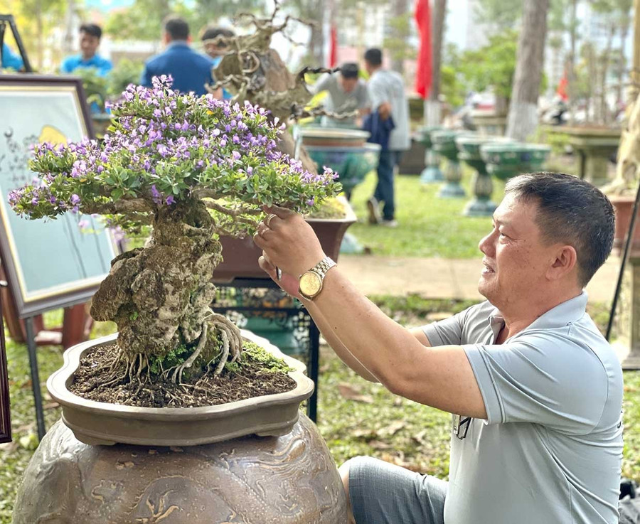 นิทรรศการบอนไซ “ป่าเขียว” จะนำเสนอผลงานบอนไซมากมายที่ดึงดูดผู้คนด้วยความงามและปรัชญาชีวิต ภาพ: P.D bg2-5.jpg