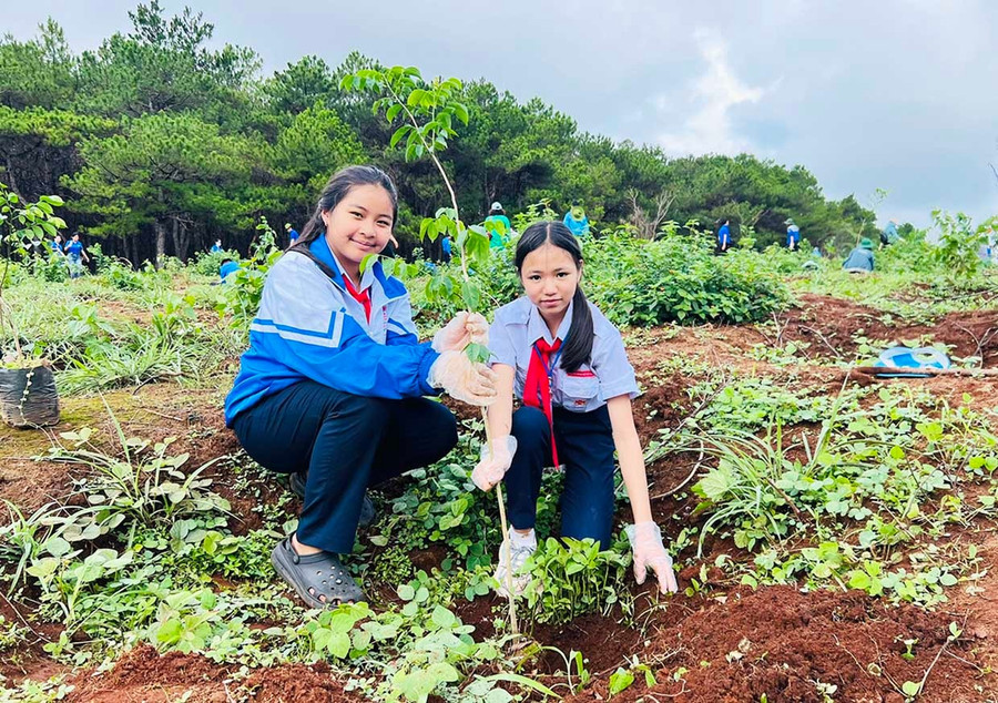 Học sinh tham gia trồng cây, góp phần bảo vệ môi trường sống là hành động đẹp cần lan tỏa, nhân rộng. Ảnh: M.N them3-1762.jpg